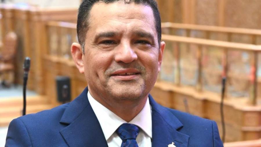 عضو مجلس النواب أمير أحمد الجزار