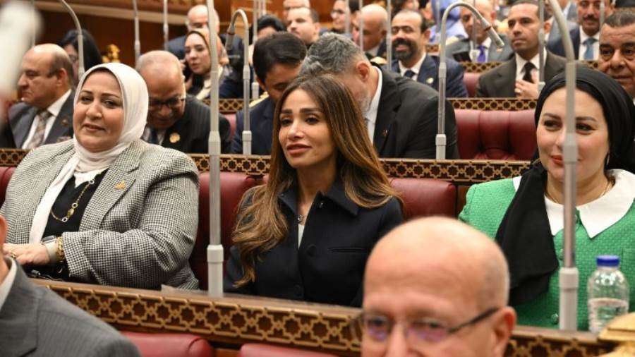 النائبة انجي نصيف