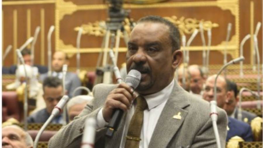 النائب أحمد حافظ