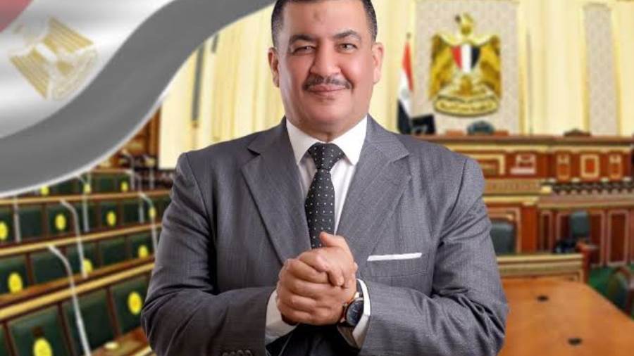 عضو مجلس النواب محمود السيد المنوفي