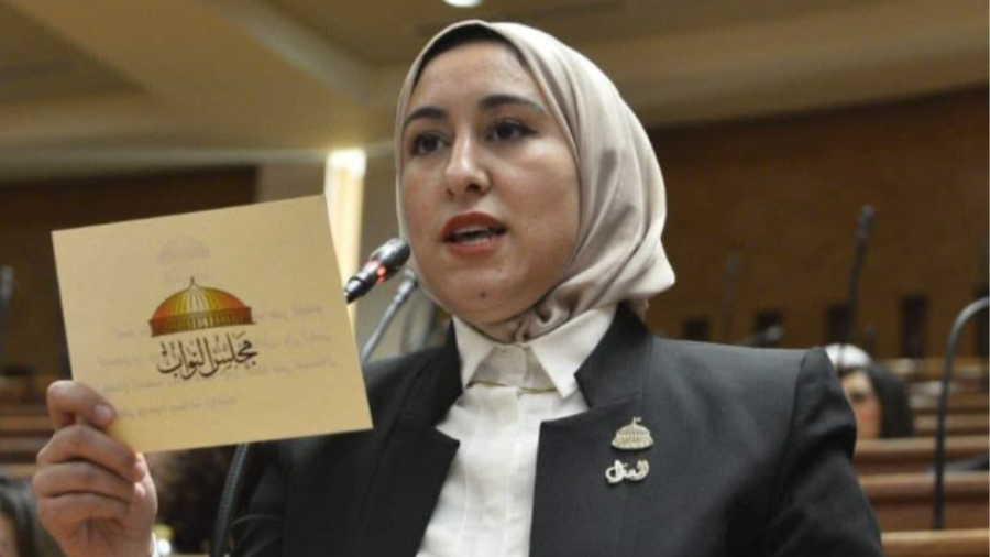 عضو لجنة الصحة بمجلس النواب صافيناز طلعت