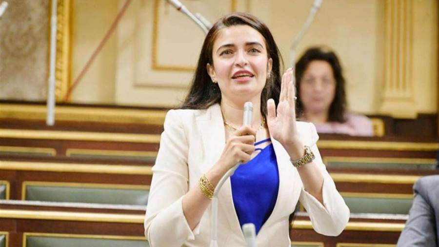 النائبة إيرين سعيد