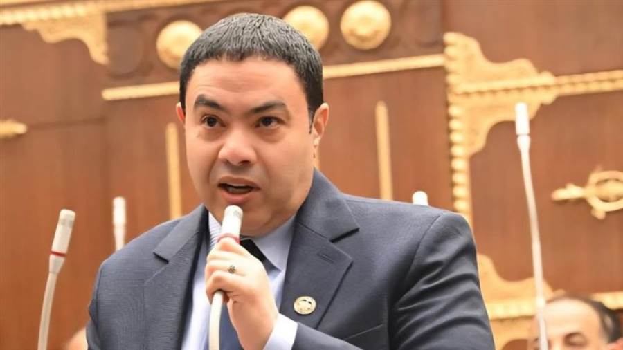 النائب إسماعيل الشرقاوي