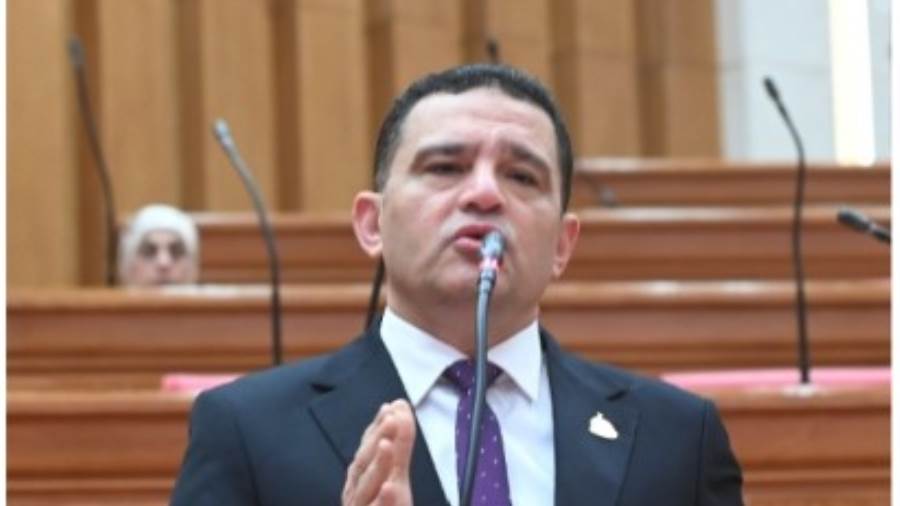 النائب أمير الجزار