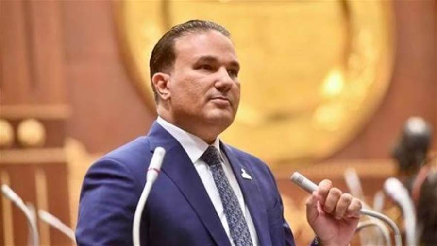 النائب تامر عبد الحميد