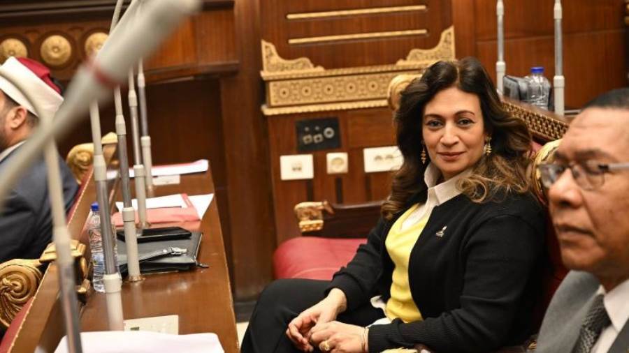 النائبة نيفين فارس