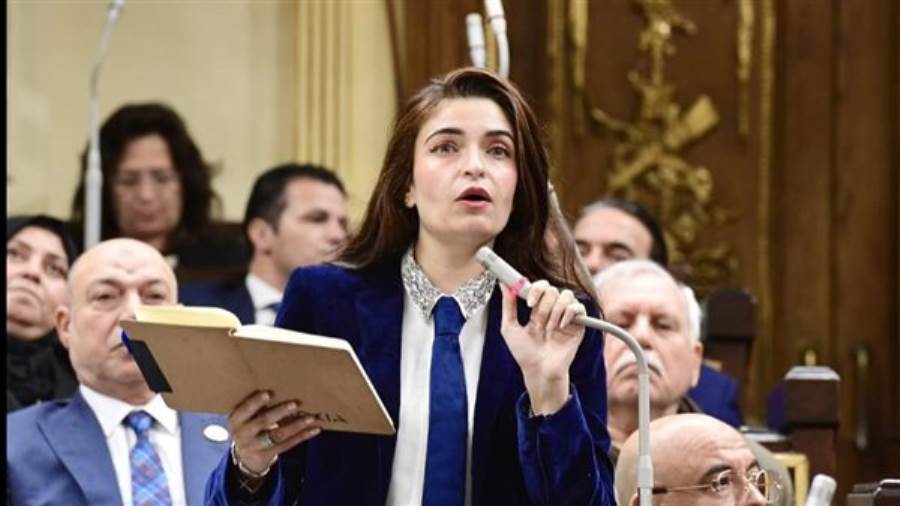 النائبة إيرين سعيد