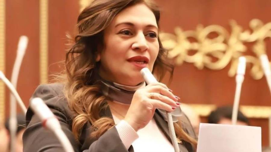 النائبة نيڤين فارس