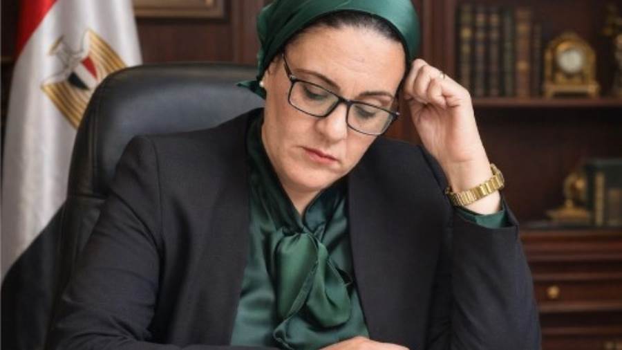 النائبة داليا الأتربي