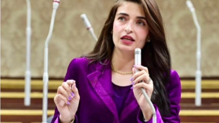 النائبة أيرين سعيد