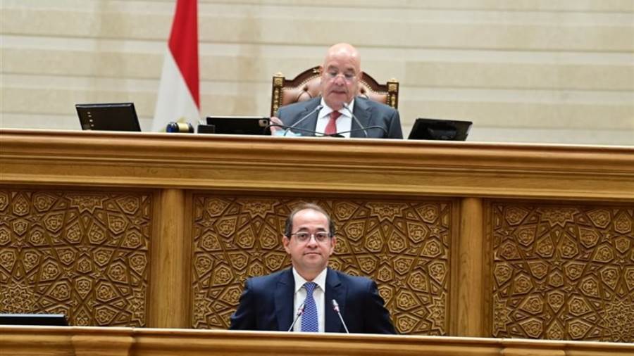 وزير المالية أحمد كجوك