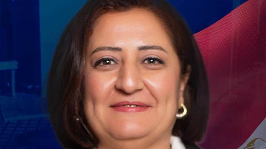 النائبة ماريز إسكندر عضو مجلس النواب