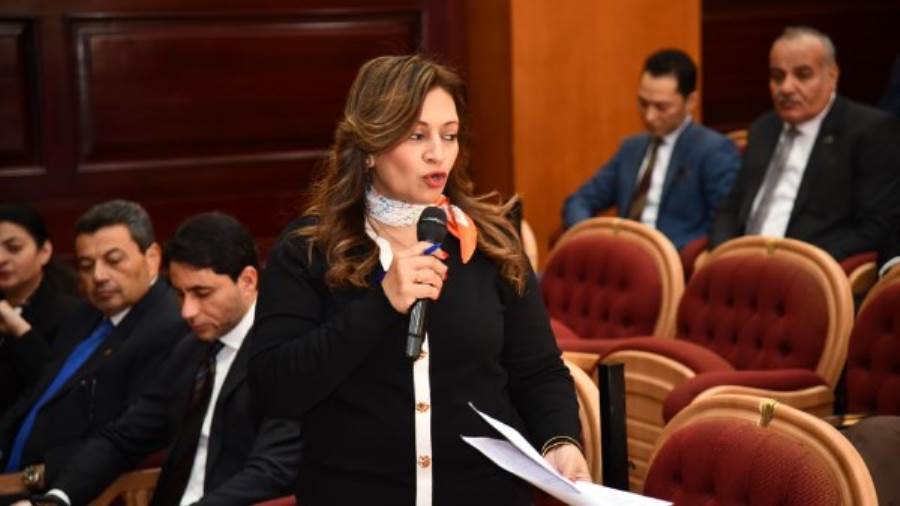 النائبة نيفين فارس