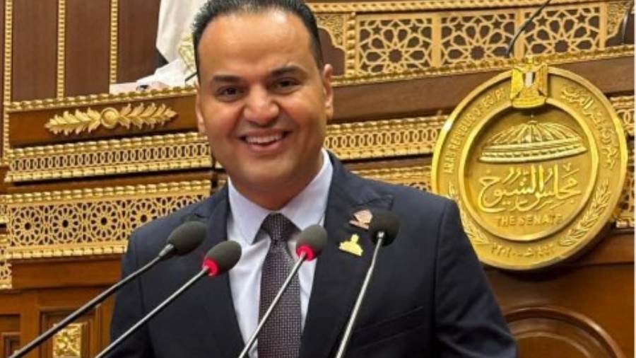 النائب الحسيني الليثي