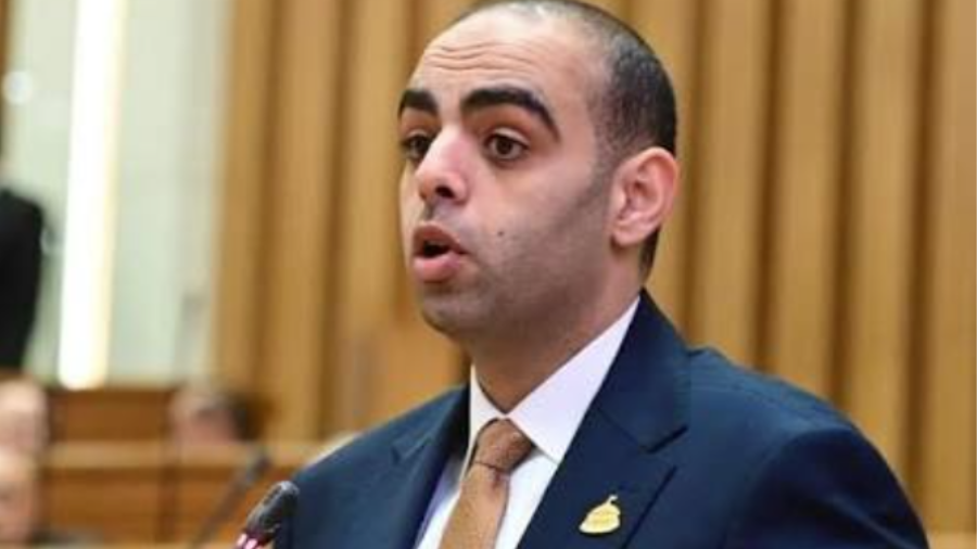 النائب حسن عمر حسانين