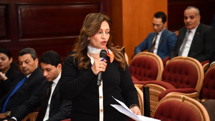 النائبة نيفين فارس عضو مجلس الشيوخ
