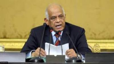 النواب: القوات المسلحة أصبح لديها الرخصة الدستورية للرد علي أخطار وتهديدات الإتجاه الاستراتيجي الغربي