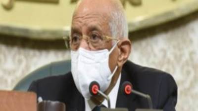 بأمرالنواب .. 200ألف جنية سنويًا للأطفال دون الـ18عامًا.." البرلمان" يكشف طريقة الحصول عليها