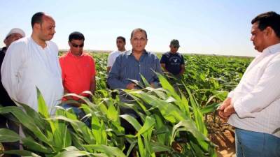 إحالة مخالفات جمعية الأرز للنيابة.. والبرلمان يتحرك لاقتلاع جذور الفساد