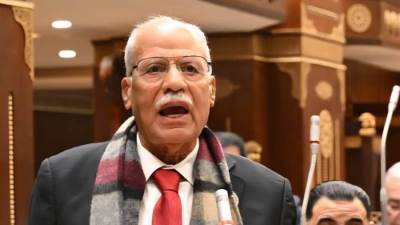 أبو العلا: تحركات السيسي الخارجية تعيد لمصر دورها القومي والتاريخي