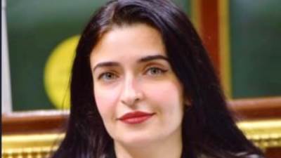 إيرين سعيد: الفيتو الرئاسي أنهى فكرة حسم الانتخابات البرلمانية سلفًا