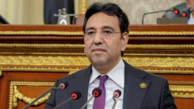 أيمن محسب: الاعتراف بـ "صومالي لاند" تهديد مباشر لاستقرار القرن الأفريقي