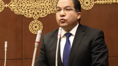 اللمعي: الثقة في القيادة السياسية وراء اختيار مصر لقيادة مجلس السلم والأمن