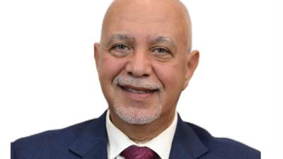 الجندي: إدماج "السلامة الرقمية" ضمن المناهج ودور الأسرة والمدرسة أساسي