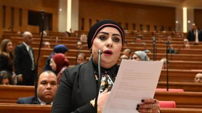 النائبة جيهان شاهين تطالب محافظ الإسماعيلية بصيانة إنارة طريق قرية النصر