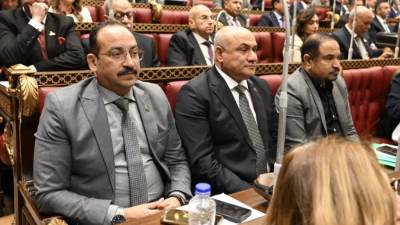  عضو بالشيوخ: أمن الدول العربية جزء لا يتجزأ من الأمن القومي المصري