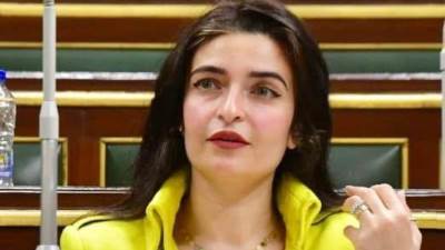 10 محافظات كمرحلة أولى.. النائبة إيرين سعيد تطرح خطة متكاملة لضمان أمن الطاقة