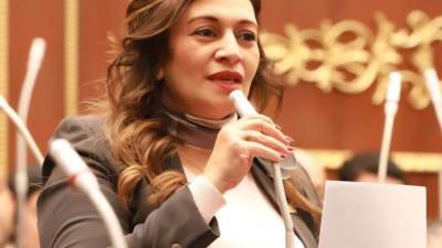 نيفين فارس تتقدم باقتراح برغبة لترشيد الإنفاق الحكومي وتعزيز كفاءة إدارة الموارد العامة