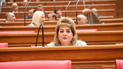 تحرك برلماني عاجل بشأن استعراض أسلحة بيضاء من أجانب أمام حديقة الميريلاند بمصر الجديدة