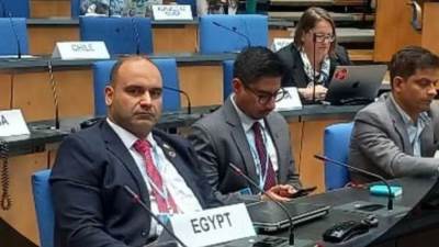 وليد كمال: زيارة وزير خارجية الكويت لمصر خطوة مهمة نحو تعزيز التعاون الاقتصادي والسياسي المشترك                                     