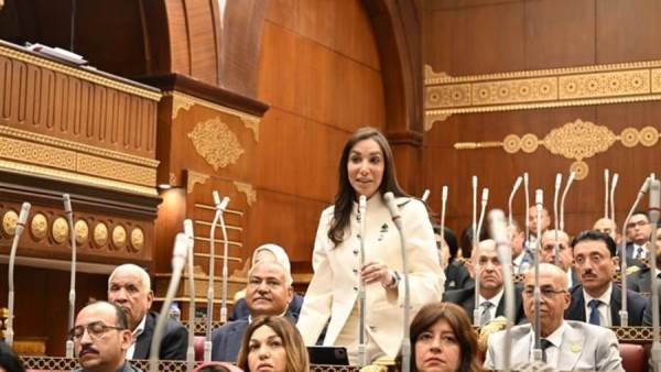 النائبة حنان وجدي: إعادة تشكيل المجموعة الوزارية الاقتصادية خطوة استراتيجية لتعزيز التماسك الحكومي ومواجهة التحديات